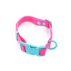 Collar para Perro PVC - Street Dogs - Pink