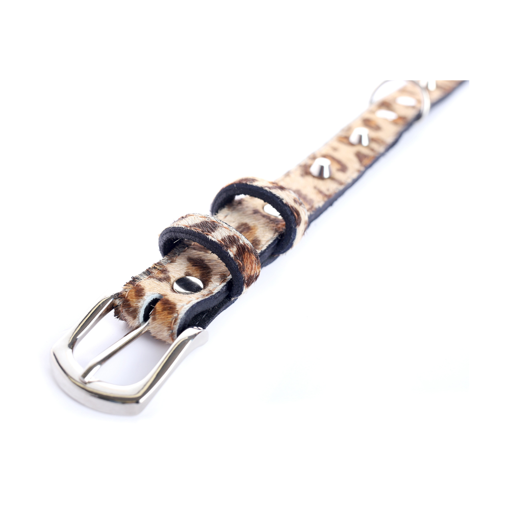Collar Cuero 2.5 cm para Perros - Street Dogs - Animal Print Pelo Natural