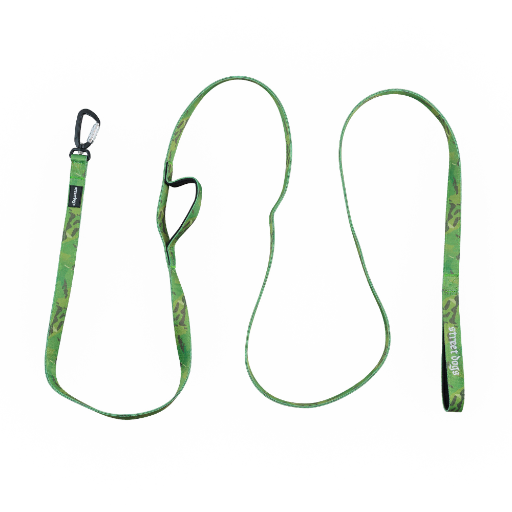 Correa Larga para Perros - Mosquetón Automático | 3 mts | Green Camouflage