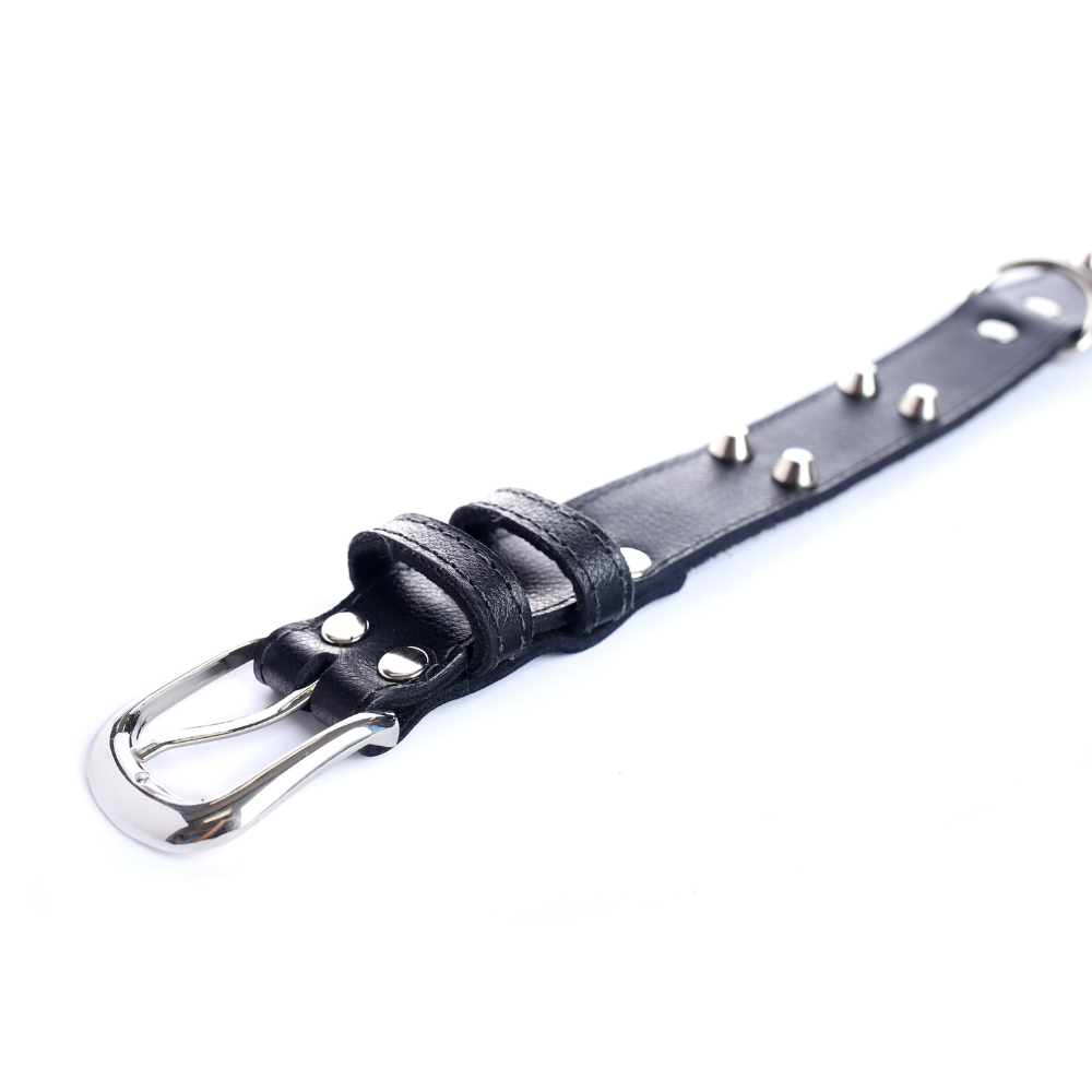 Collar Cuero 3 cm para Perros - Street Dogs - Black