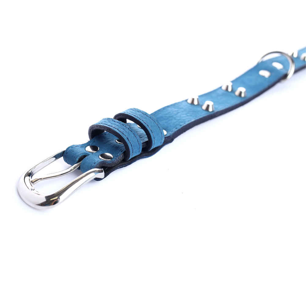 Collar Cuero 3 cm para Perros - Street Dogs - Blue Mate