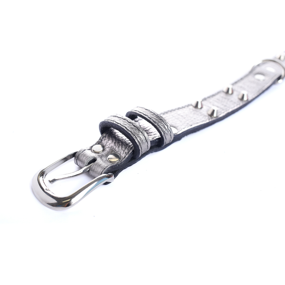 Collar Cuero 3 cm para Perros - Street Dogs - Silver
