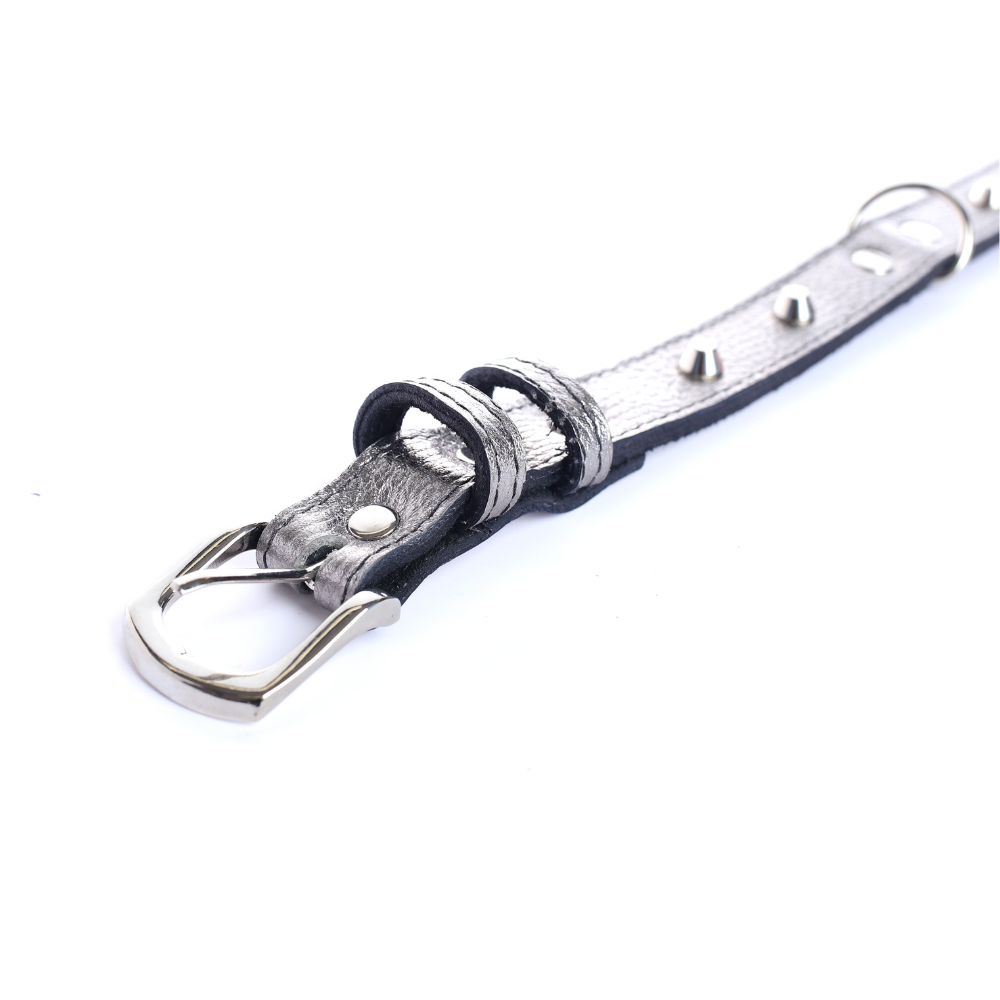 Collar Cuero 2.5 cm para Perros - Street Dogs - Silver