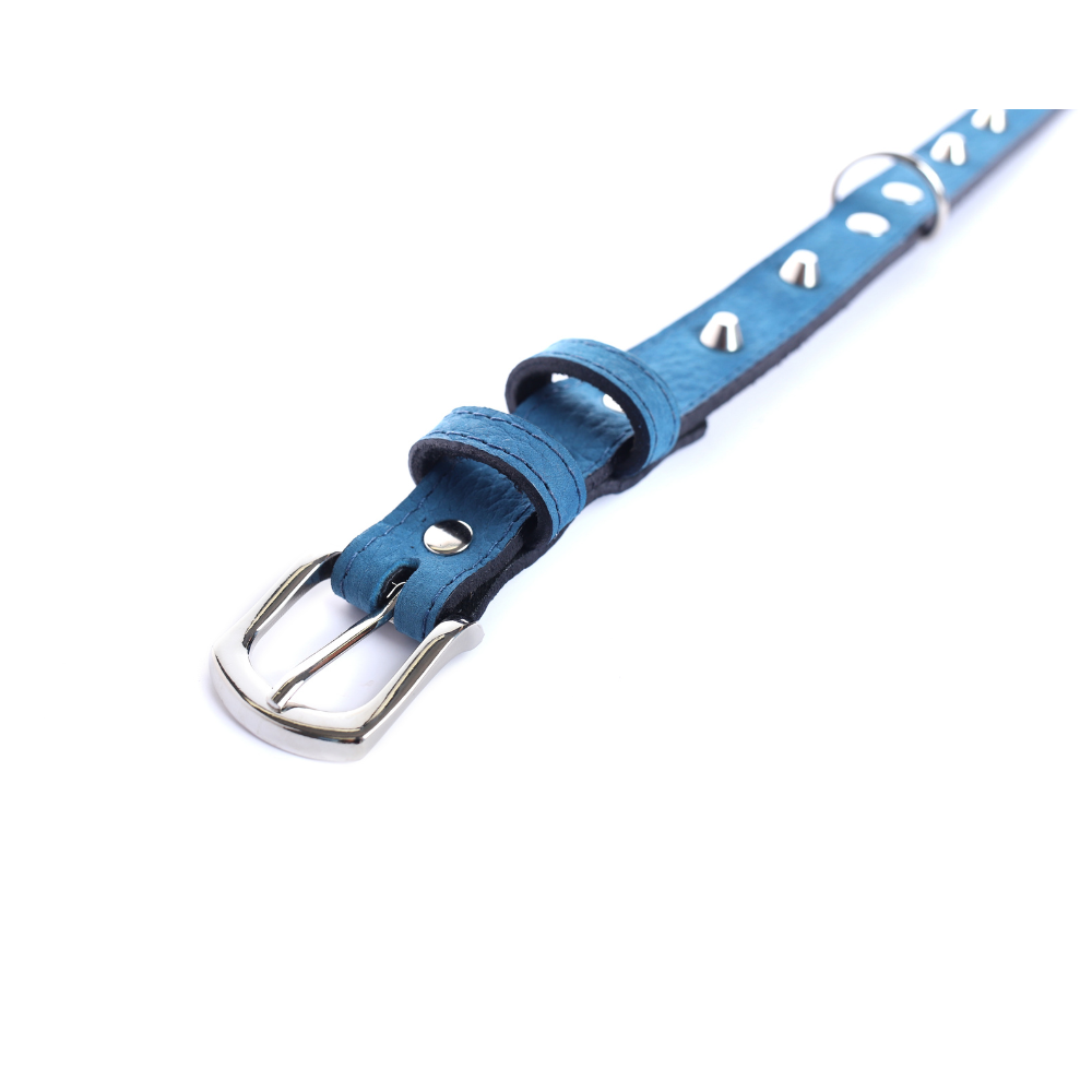 Collar Cuero 2.5 cm para Perros - Street Dogs - Blue Mate