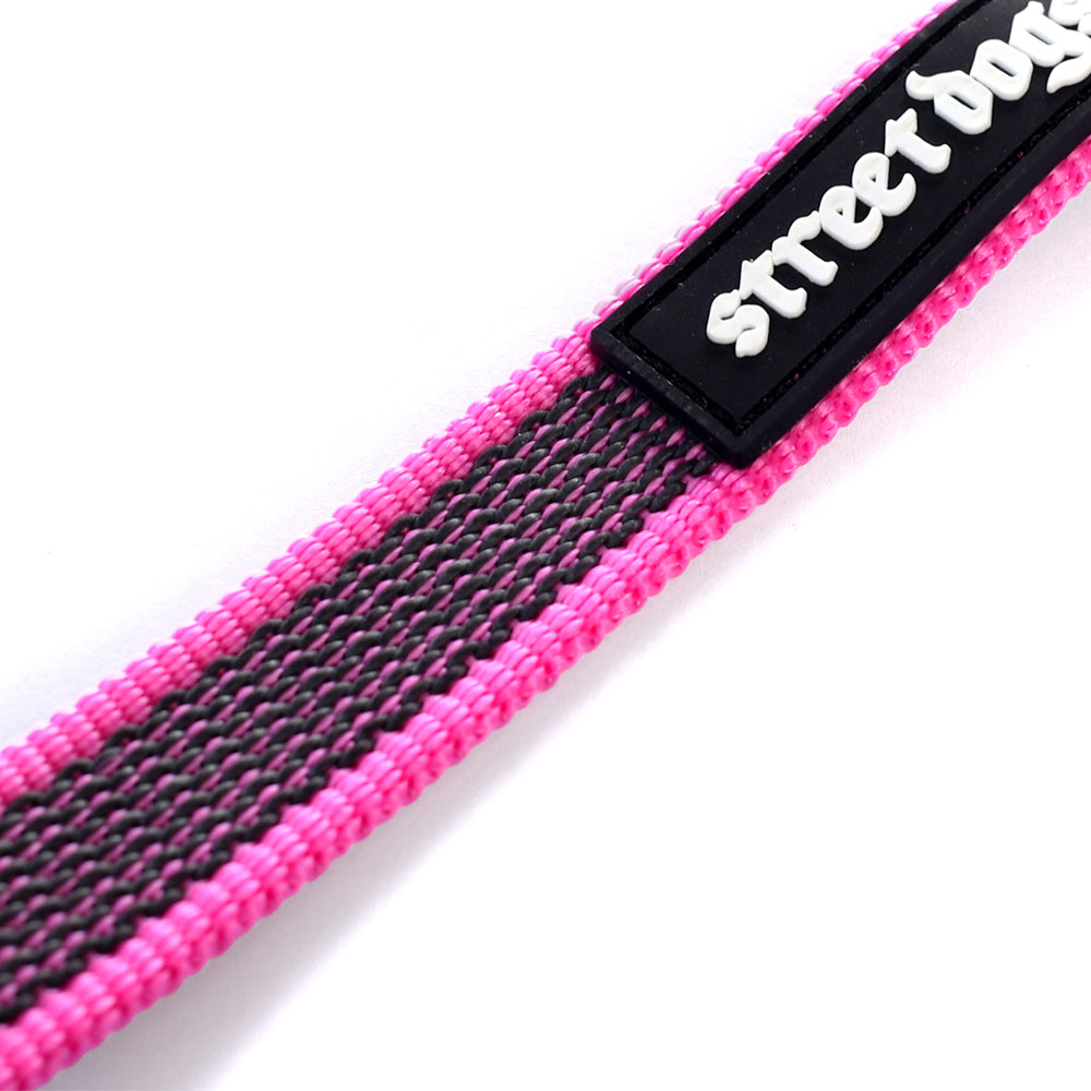 Correa Larga para Perros - Latex Antiquemaduras | 5 mts | Pink