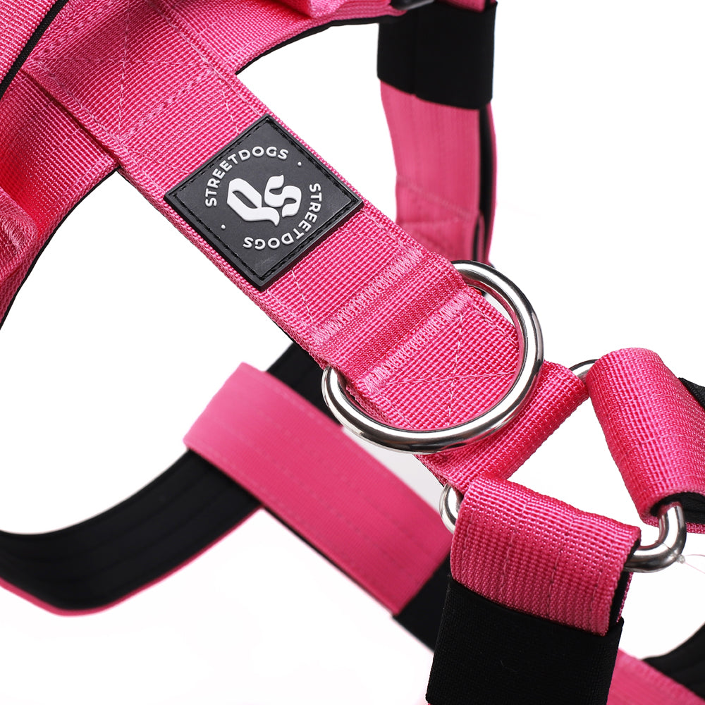 Arnés Strap para Perros - Street Dogs - Pink
