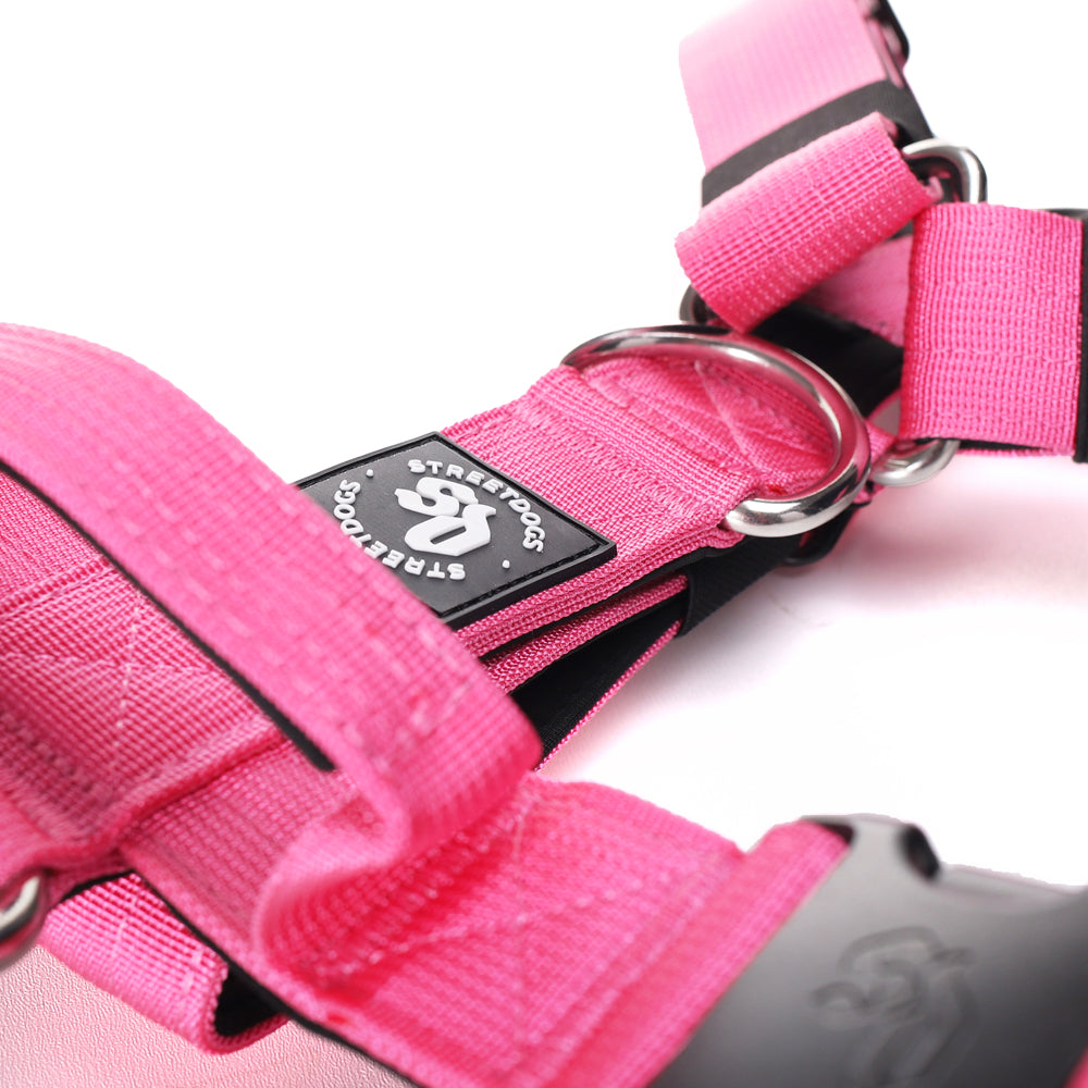 Arnés Strap para Perros - Street Dogs - Pink