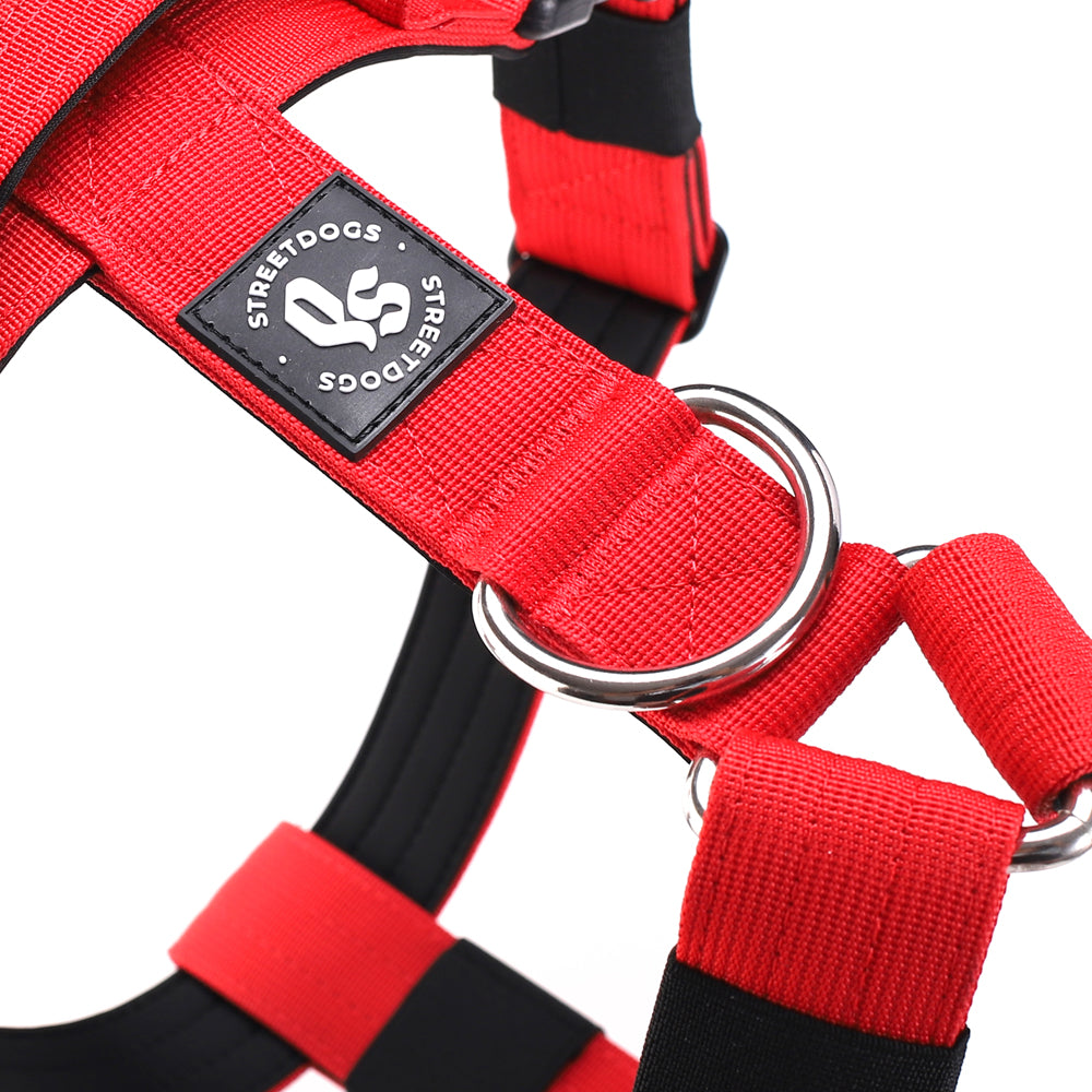 Arnés Strap para Perros - Street Dogs - Red
