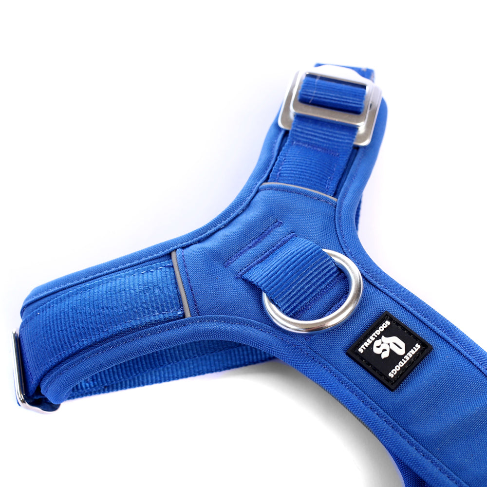 Arnés Aerosport para Perros - Street Dogs - Blue