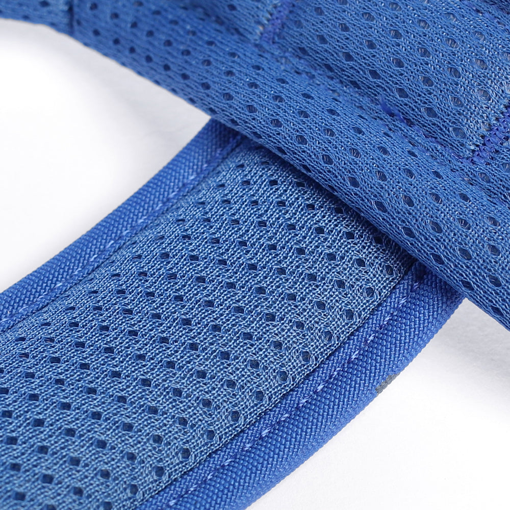 Arnés Aerosport para Perros - Street Dogs - Blue