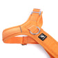 Arnés Aerosport para Perros - Street Dogs - Orange