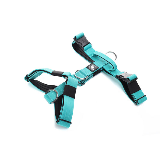 Arnés Strap para Perros - Street Dogs - Turquoise