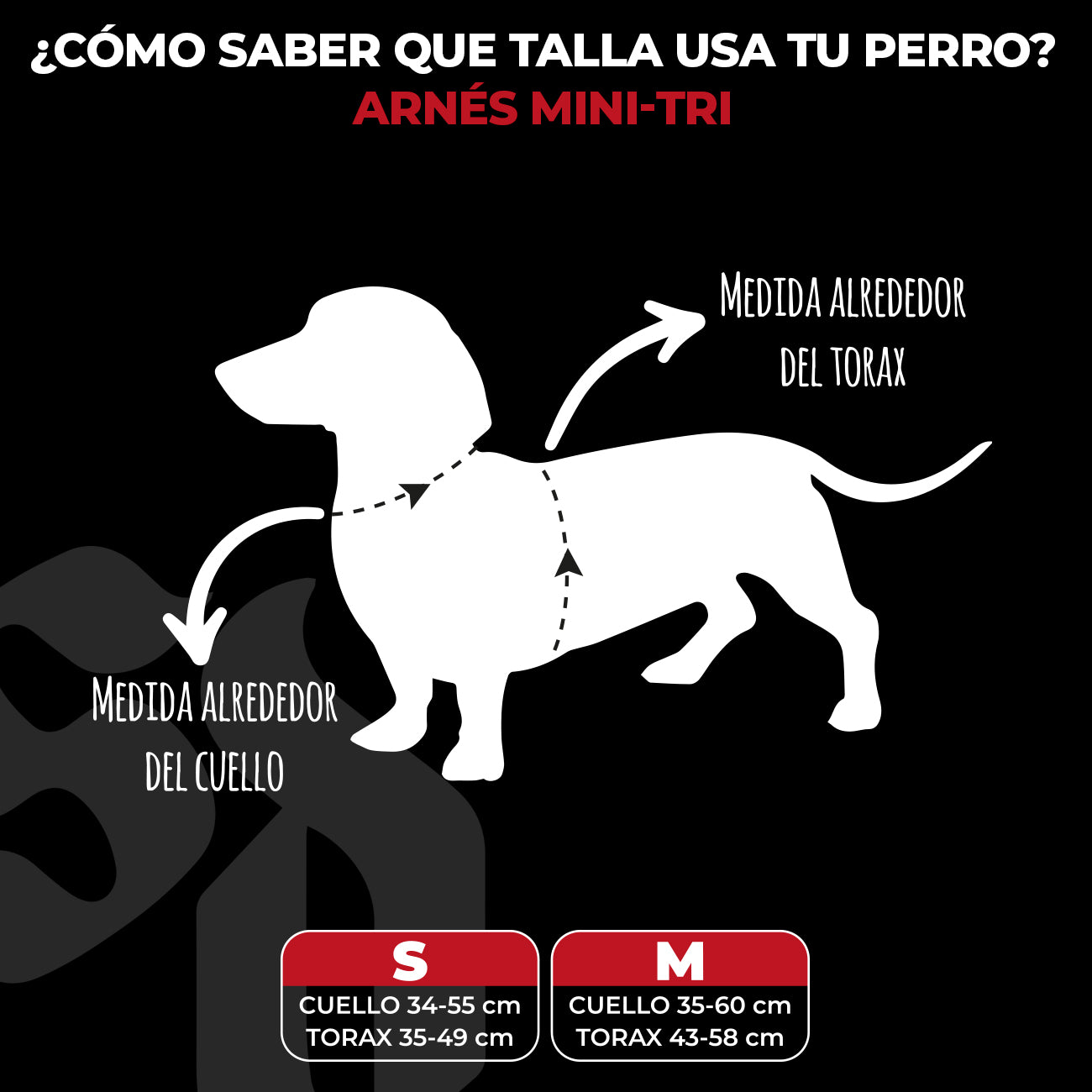 Arnés Mini-Strap para Perros - Street Dogs - Pink