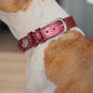 Collar Cuero 3 cm para Perros - Street Dogs - Metallic Pink