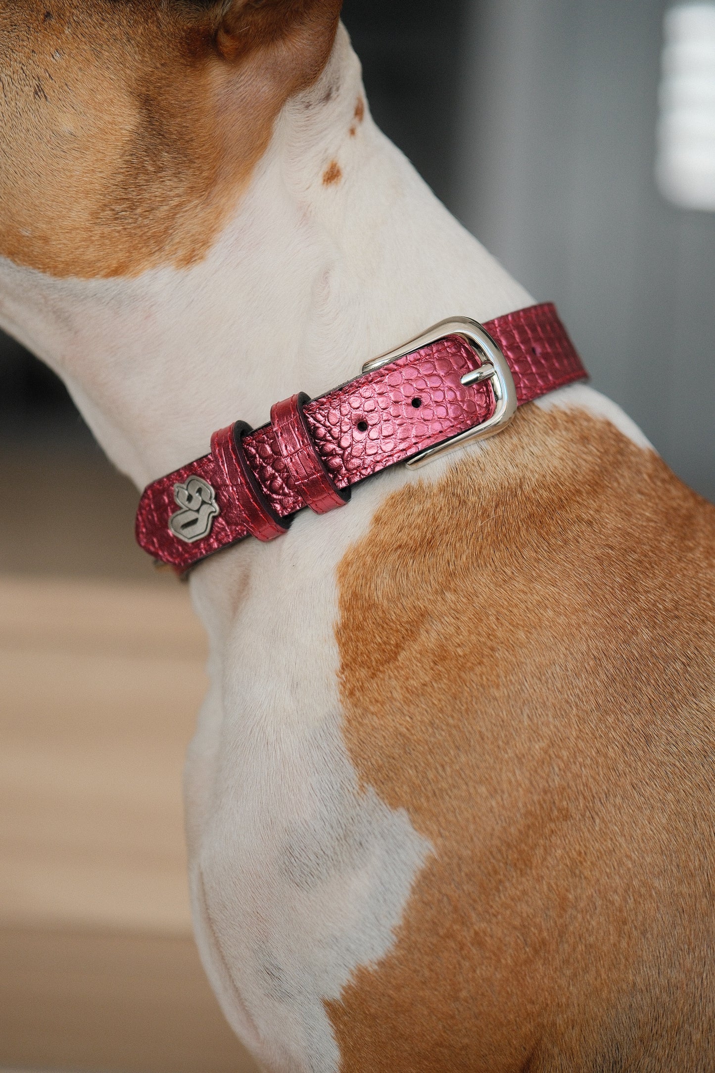 Collar Cuero 3 cm para Perros - Street Dogs - Metallic Pink