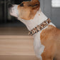Collar Cuero 3 cm para Perros - Street Dogs - Animal Print Pelo Natural