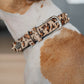 Collar Cuero 3 cm para Perros - Street Dogs - Animal Print Pelo Natural