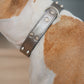 Collar Cuero 3 cm para Perros - Street Dogs - Silver