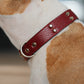 Collar Cuero 3 cm para Perros - Street Dogs - Dark Red