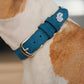 Collar Cuero 3 cm para Perros - Street Dogs - Blue Mate