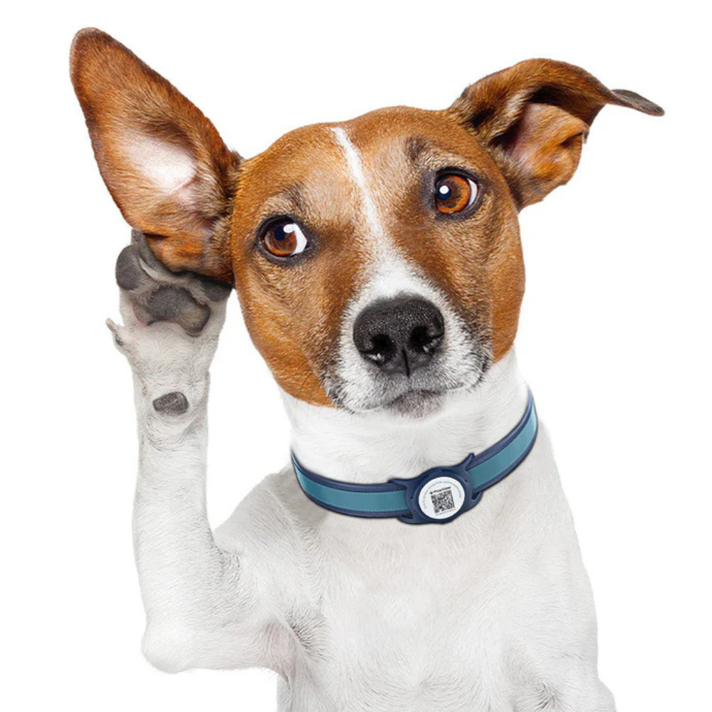 Placa de Identificación Inteligente para Mascotas - Sujetador de AirTag - TN005