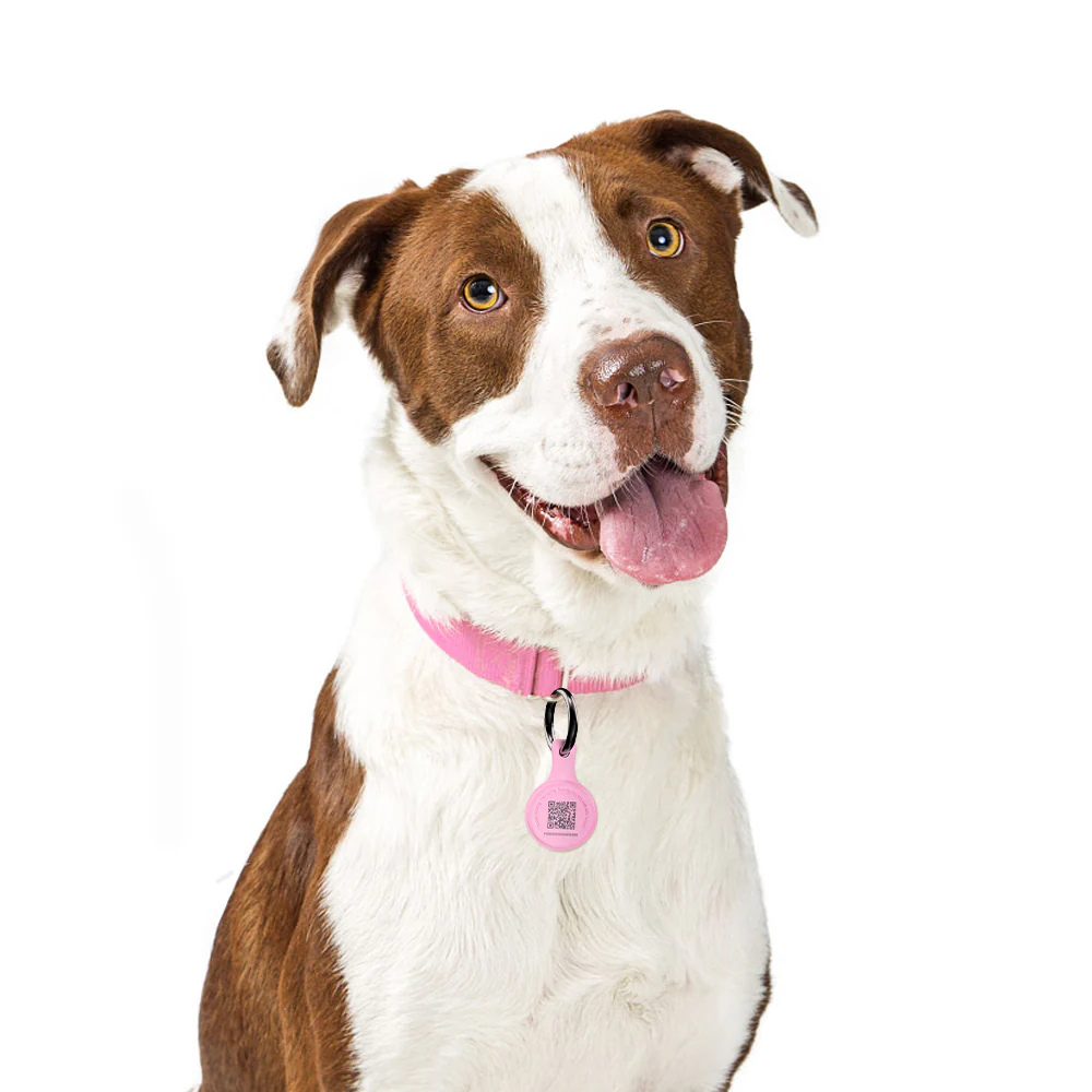 Placa de Identificación Inteligente para Mascotas - Colgante - TN001