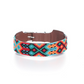 Collar para Perro - Modelo México