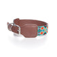 Collar para Perro - Modelo México