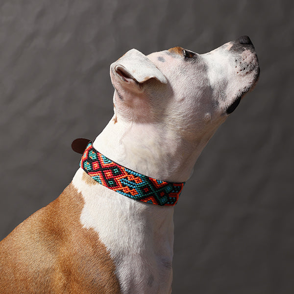 Collar para Perro - Modelo México