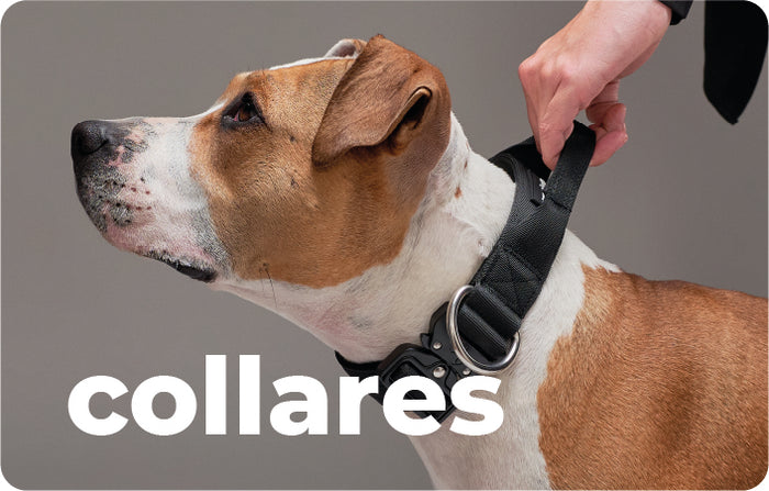 Collage Mobile Image 2