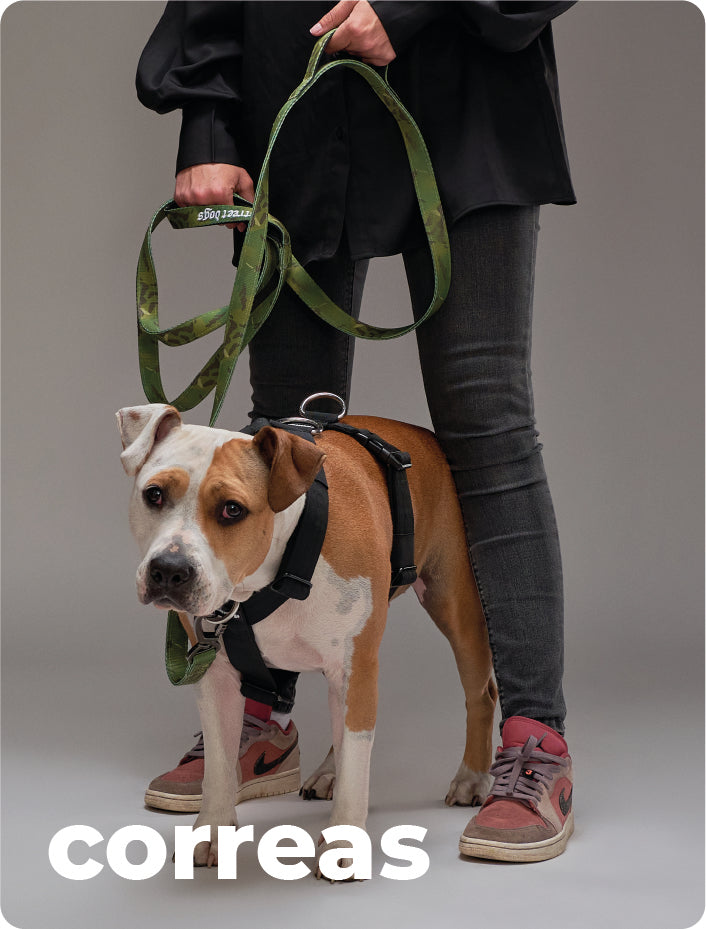 Collage Desktop Image 4