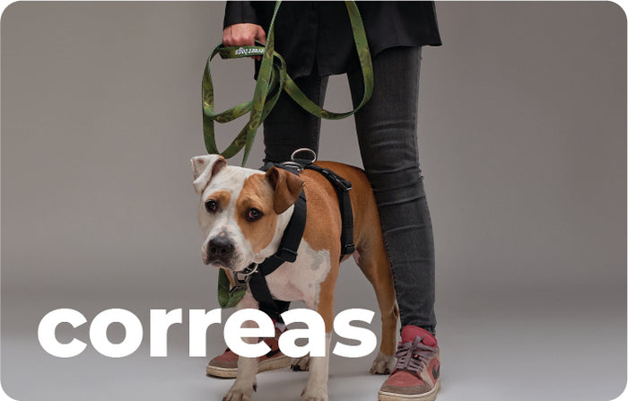 Collage Mobile Image 4