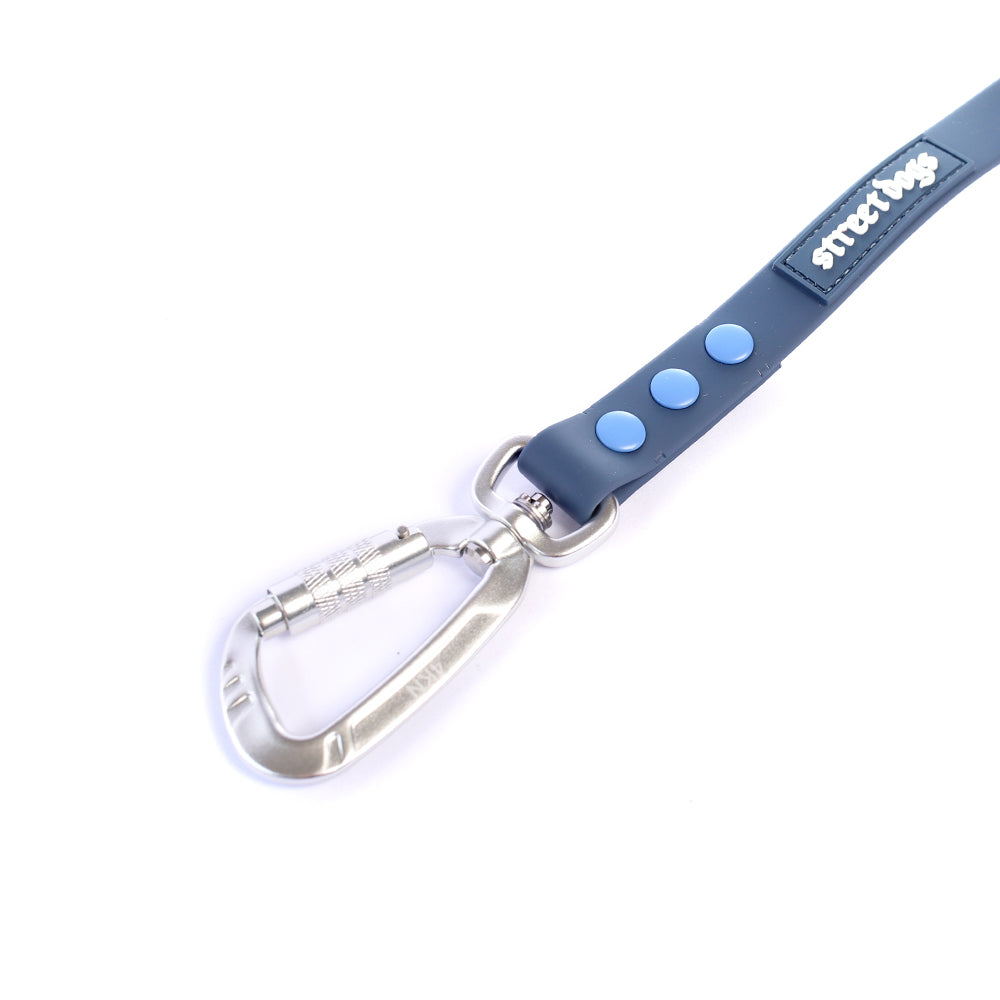 Correa Larga para Perros - PVC | 3 mts | Blue