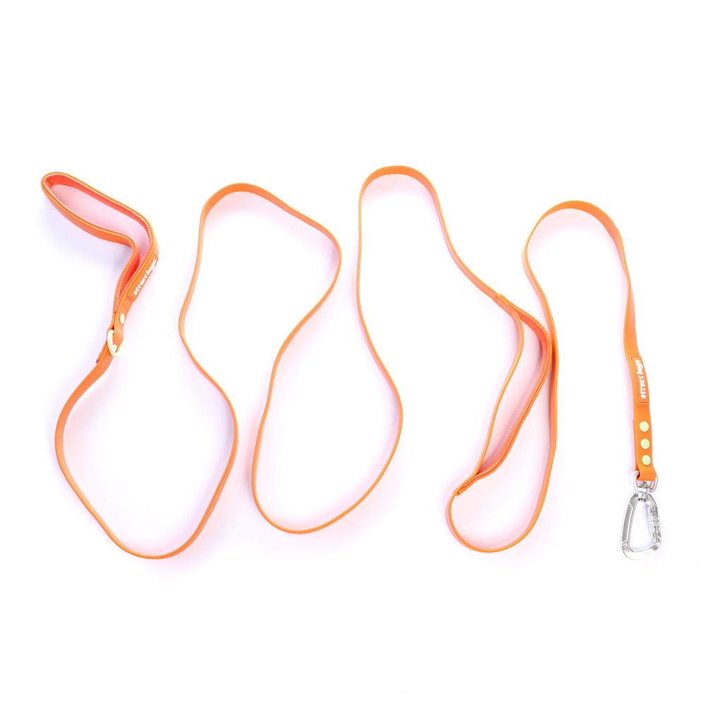 Correa PVC para Perros | 1,8 mts | Orange