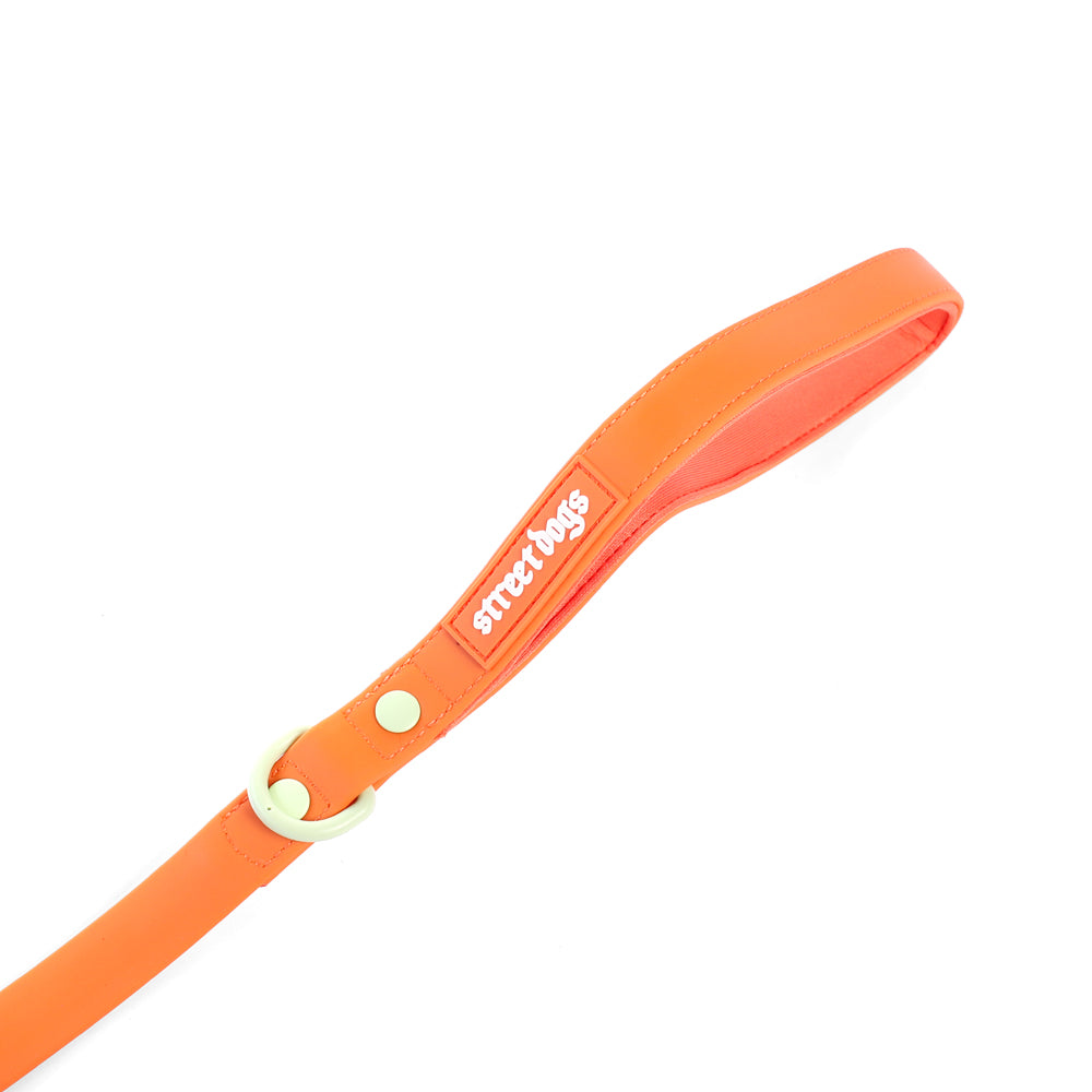 Correa Larga para Perros - PVC | 5 mts | Orange