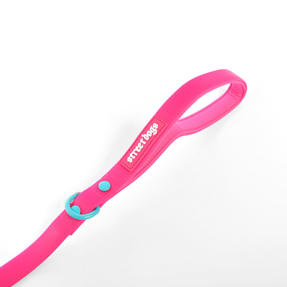 Correa Larga para Perros - PVC | 3 mts | Pink
