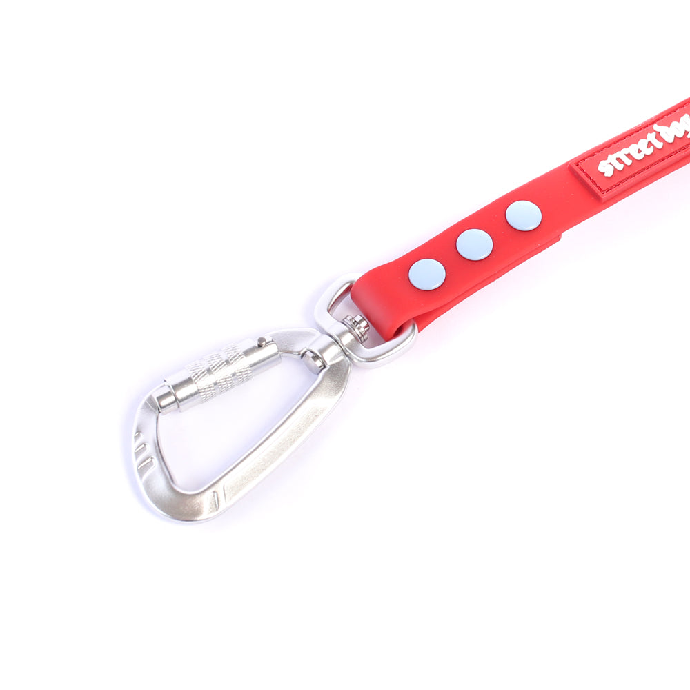 Correa PVC para Perros | 1,8 mts | Red