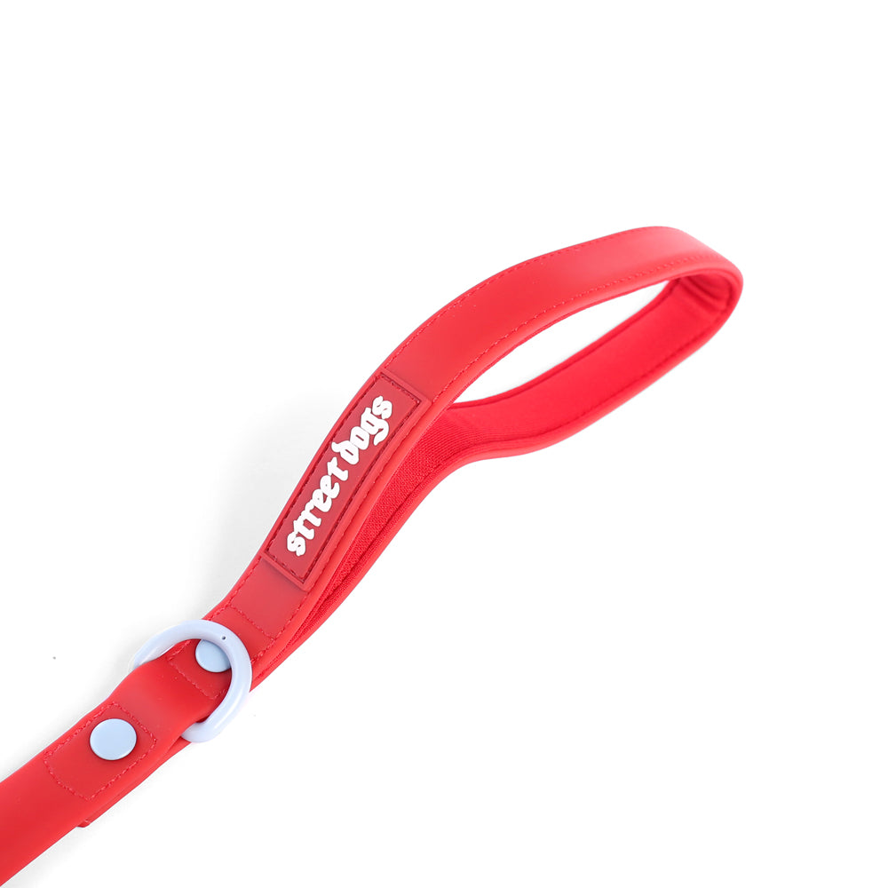 Correa Larga para Perros - PVC - 5 Metros - Red – StreetDogs