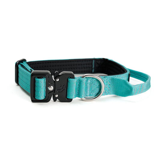 Collar Mini Combat 2,5 cm para Perros - Street Dogs - Turquoise