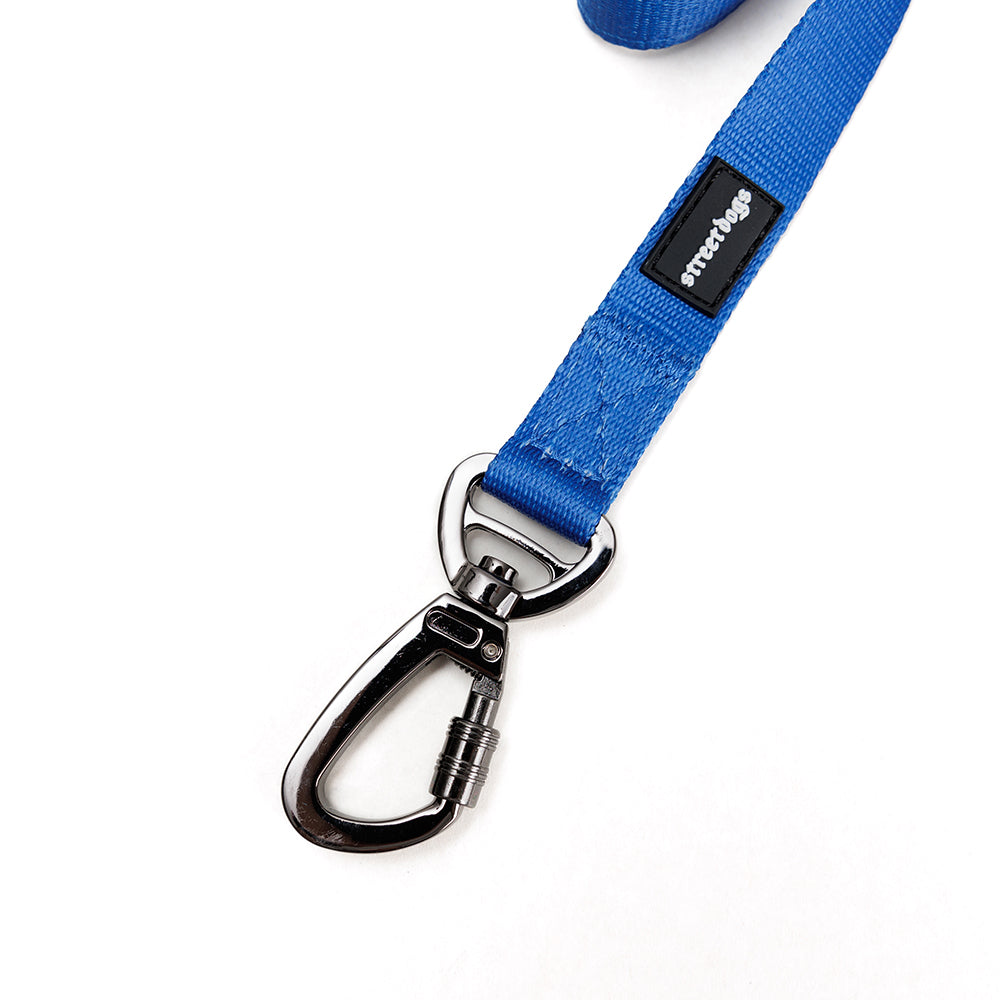 Correa Larga de Adiestramiento para Perros | 3 mts | Blue