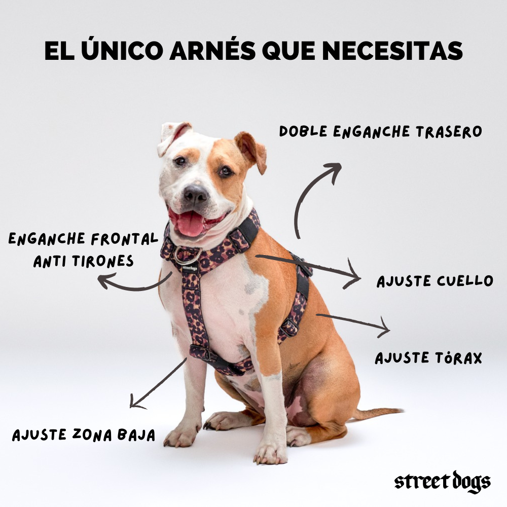Arnés Strap para Perros- Street Dogs - Black