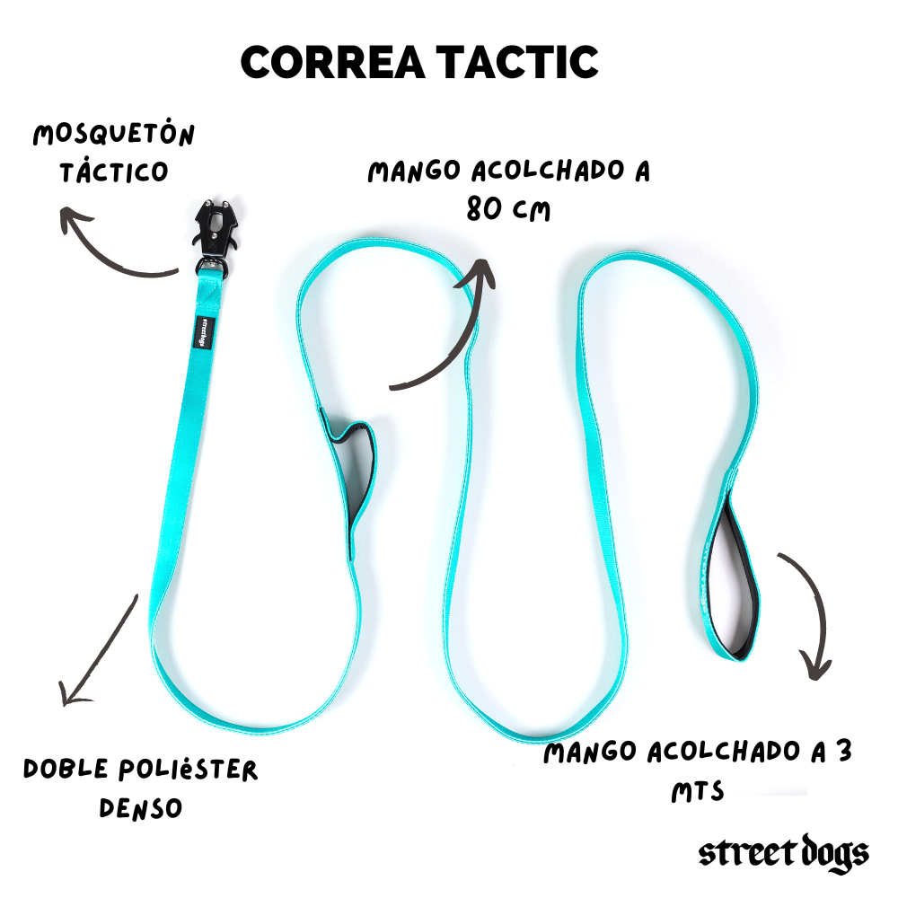 Correa Larga para Perros - Tactic | 3 mts | Turquoise