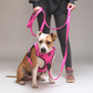 Correa Larga para Perros - Tactic | 3 mts | Pink