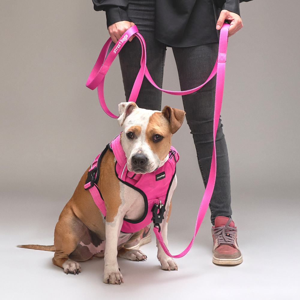 Correa Larga para Perros - Tactic | 3 mts | Pink