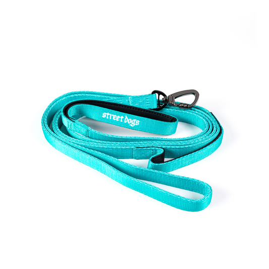 Correa Larga para Perros - Light | 3 mts | Turquoise