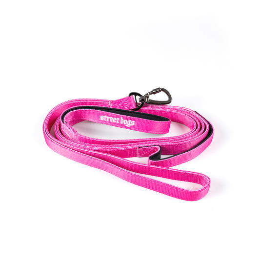 Correa Larga para Perros - Light | 3 mts | Pink