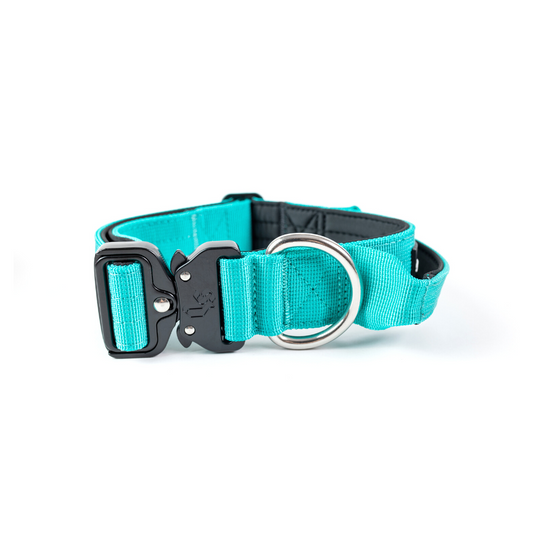 Collar Combat 4 cm para Perros - Street Dogs - Turquoise