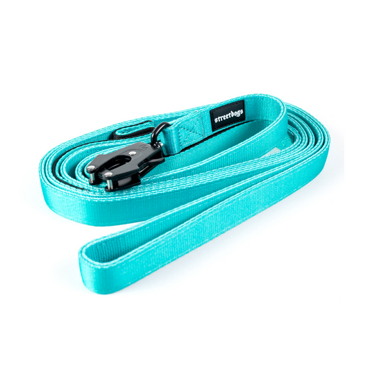 Correa Larga para Perros - Tactic | 5 mts | Turquoise