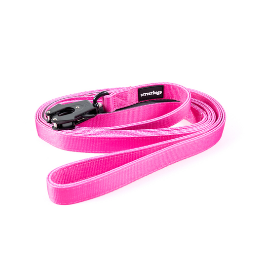 Correa Larga para Perros - Tactic | 3 mts | Pink