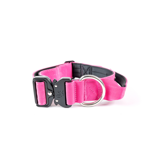 Collar Combat 4 cm para Perros - Street Dogs - Pink